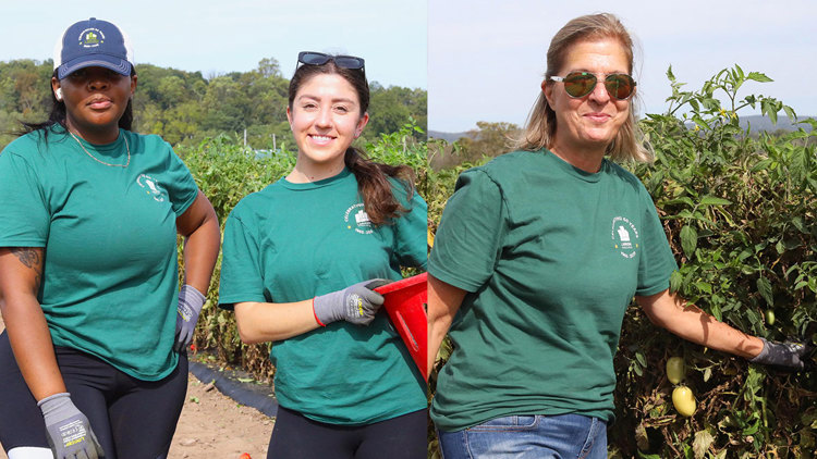 Larken Associates Completes Third Annual Community Service Outing with America’s Grow-a-Row