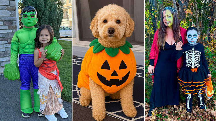 Larken Associates Hosts 2025 Halloween Costume Contest Across Pet-Friendly Larken Living Communities
