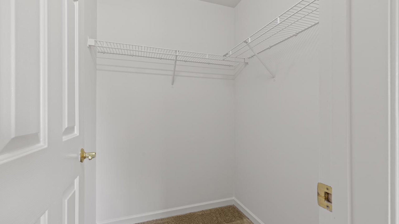 The View at Mackenzi Primary Bedroom Walk-In Closet