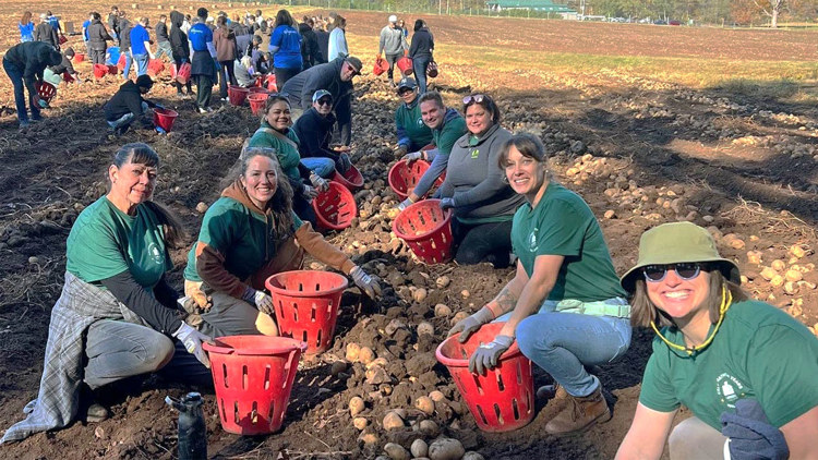 Larken Associates Completes Third Annual Community Service Outing with America’s Grow-a-Row